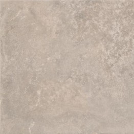 Gạch lát sàn Trường Thịnh GENESIS SERIES BR55E12